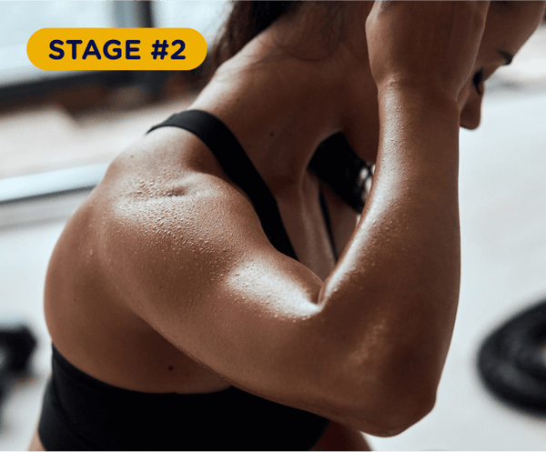 Stage #2